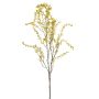 Mimosa spray green 100cm