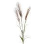 Pampas grass bundle brown 90cm