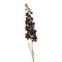 Delphinium spray burgundy 87cm