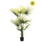 Palm washingtonia UV 120cm