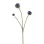 Echinops spray blue 70cm