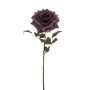 Rose sofie spray purple 55cm
