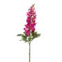 Antirrhinum spray beauty 92cm
