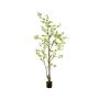 Tropaeolum plant green 185cm (knock down packing)