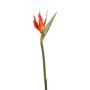 Strelitzia spray orange 85cm