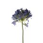 Agapanthus spray blue 88cm