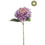 Hydrangea spray purple 50cm