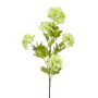 Viburnum spray lt green 85cm