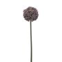 Allium spray lt purple 74cm