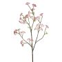 Sedum spray pink 105cm