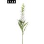Digitalis spray cream 92cm