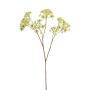 Dill spray white 58cm