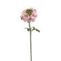 Ranunculus spray lt pink 60cm