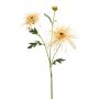 Chrysantum spider spray cream 70cm