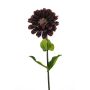 Zinnia spray burgundy 55cm