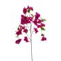 Bougainvillea hanging spray fuchsia 120cm