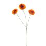 Poppy x3 orange 61cm