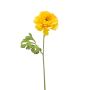Ranunculus spray yellow 61cm
