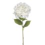 Hydrangea XL spray white 90cm