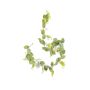 Lunaria garland green 180cm