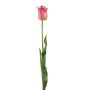 Tulip france spray pink 66cm