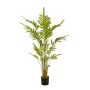 Fern plant 150cm