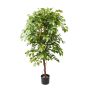 Ficus deluxe vine tree 140cm