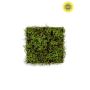 Grass mat with moss green/brown 50x50cm