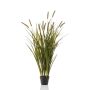 Grass cattail x12 120cm