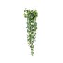 Scindapsus pictus hanging bush green/grey 120cm