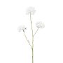 Scabiosa spray x3 white 80cm