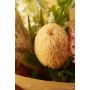 Banksia spray lt orange 65cm