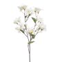 Bougainvillea spray cream 68cm