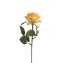 Rose simone spray yellow 45cm