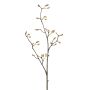 Magnolia buds spray lt brown 90cm