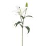 Lily spray white 56cm