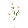 Lisanthus spray peach 72cm