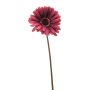 Gerbera spray purple 58cm