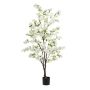 Jasmin tree white in pot 160cm
