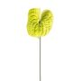 Anthurium spray green 70cm