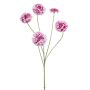 Zinnia spray white/beauty 90cm
