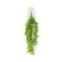 Fern mini hanging bush green 80cm