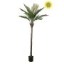 Palm UV 210cm (knock down packing)