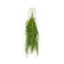 Lepidium hanging bush green 80cm
