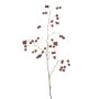 Buttercup spray burgundy 105cm