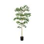 Bucida tree deluxe 240cm (knock down packing)