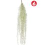 Tillandsia hair bush FR grey 85cm