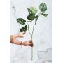 Monkey leaves spray green 75cm