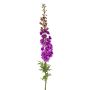 Delphinium XL spray lilac 130cm