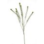 Lepidium spray green 85cm